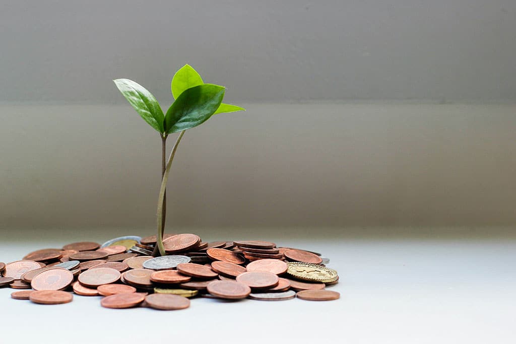 Where to Invest €500,000 Today 1 Image of a small plant growing in a pile of money to symbolise investment growth