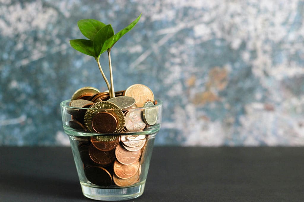 Why Many Expats in France Are Overexposed to Home Country Assets 1 Image of a glass jar full of money with a small plant growing in it. This represents the idea of invetsing and why many expats in France are overexposed to home country assets